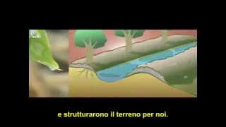 PERMACULTURA IN AZIONE - RENDERE VERDE UN DESERTO