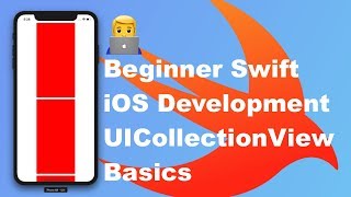 (iOS development basics) - UICollectionView in a UIViewController with Swift & Xcode