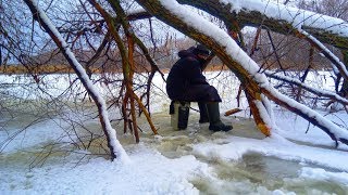 Ловля КАРАСЯ зимой в густом КОРЯЖНИКЕ