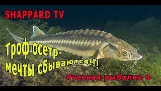 Русская рыбалка 4 ?Осетр ушел , но обещал вернуться?РОЗЫГРЫШИ НАЖИВОК И БЛЕСЕН?