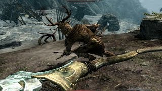 The Elder Scrolls V 5 Skyrim Legendary Edition прохождение 28 Найти экземпляр книги