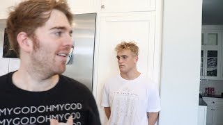 The Mind of Jake Paul - Extended Trailer