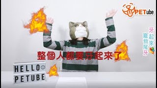 【哈寵PETube】第49集 牙起來！寵物尾牙
