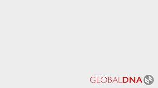 GlobalDNA Simulation - International Business Strategy