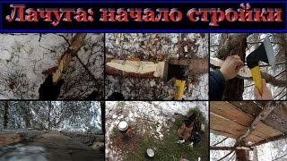 лачуга в лесу #1 (начало строительства)