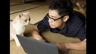 『ねこあつめの家』映画オリジナル予告編
