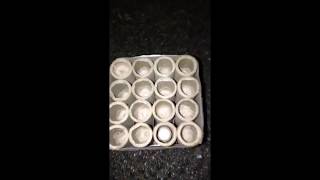Modifizierte Poison von Weco mit FP3 Bombetten an Silvester 2018/19