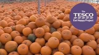 How does your pumpkin get from farm to fork? Watch to find out!
