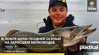 На что ловит ЩУКУ Алексей Шанин ОСЕНЬЮ? Часть 3