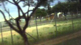 CHEGADA EM ALEGRETE 07-12 19:50 DIA 07-12  (3)