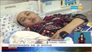 Сайлаубек...Сайлаукүлдер дүниеге келді
