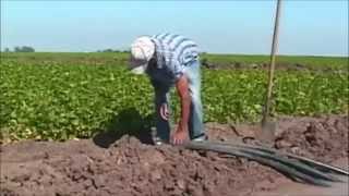CHAYIN OBESO - CON ORGULLO AGRICULTOR.