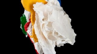 Анатомия решетчатой кости (os ethmoidale)
