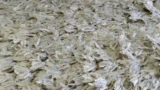 Ковромоечное оборудование в цехе BG Clean Нижний Новгород. Ковромоечная машина во время работы.