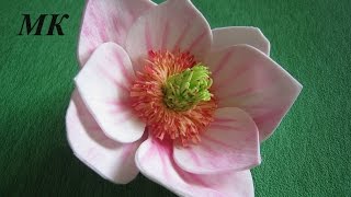 Цветы из фоамирана - Магнолия МК.DIY