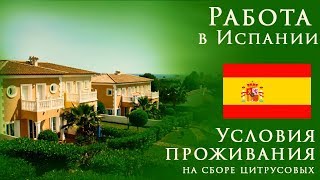 Работа в Испании | Условия проживания на сборе цитруса