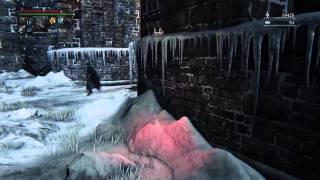 Bloodborne™_insanely WTF evelyn pistol damage!