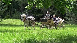 Прогулка по Спасскому-Лутовинову (усадьба И. С. Тургенева)