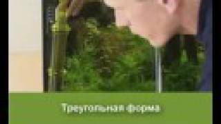 Как чистить дно в аквариуме.