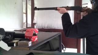 Carabine à levier de sous garde Norinco JW21 B calibre 22 LR