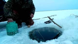Установка перемёта на Течении(вроде нашёл что искал)