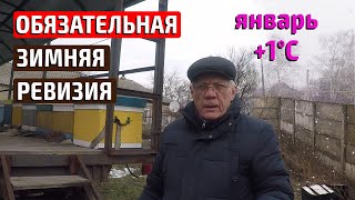 Пчеловодство зимой Зимняя ревизия пчел перед морозами