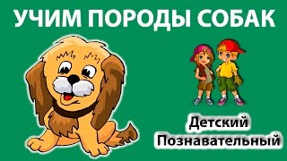 Мультик про собак - какие бывают породы. Развивающие мультики.