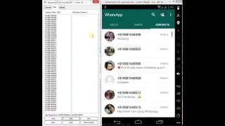 Whatsapp Queen Number Filter