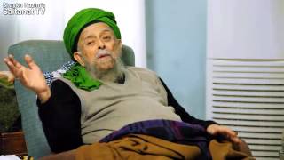 Шейх Назим. "Красота"