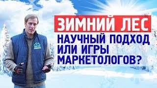 Зимний лес