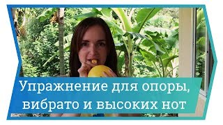 Упражнение для опоры, вибрато и высоких нот. Уроки вокала