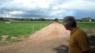 Cow Tracks
