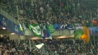 Celtic supporters JUVENTUS Vs Celtic