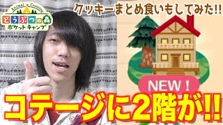 【ポケ森】アップデートでクッキーのまとめ食いとコテージの2階が出来たらしいので見に行ってみた！【どうぶつの森 ポケットキャンプ】