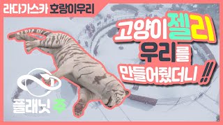 【플래닛 주】자꾸 기어올라! 부전자전?★우리 안에 터널을 놓자! 고양이 발자국♥호랑이 우리! 라다가스카~(동물원 경영/건설 시뮬레이션 게임, Planet Zoo)