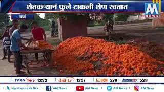 #Wardha  वर्धामध्ये झेंडूला कवडीमोल भावामुळे शेतकऱ्यानं फुले टाकली शेण खतात | AM NEWS
