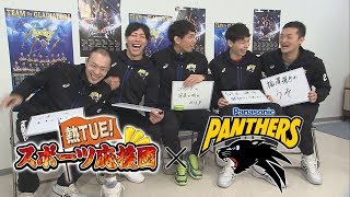 熱TUE！スポーツ応援団 パナソニックパンサーズ