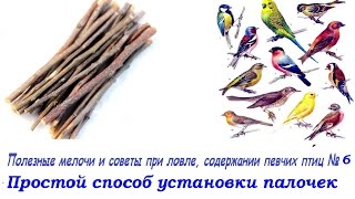Полезные мелочи и советы при ловле, содержании певчих птиц №6 Простой способ установки палочек