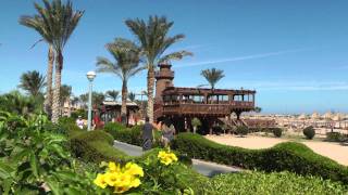 NABQ BAY (SHARM)  Relax ed immersioni nel MAR ROSSO- The Red Sea  شرم الشيخ.