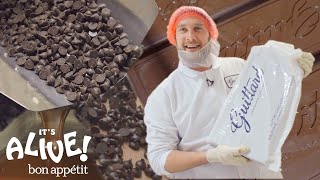 Brad Makes Chocolate: Part 2 | It's Alive | Bon Appétit