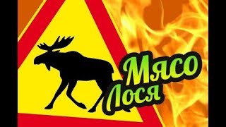 My Summer Car ? Готовим мясо лосей!