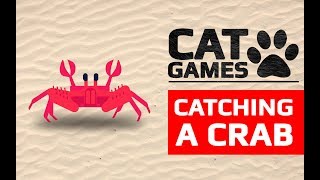 CAT GAMES - ? CATCHING A CRAB (VIDEOS FOR CATS TO WATCH) 60FPS