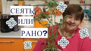 Что Посеять В Январе. А Что Сеять Еще Рано!