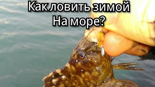 Жор бычка зимой.