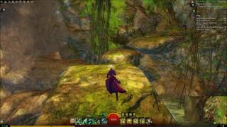 Orvanic Shore Vista | Sparkfly Fen | Guild Wars 2