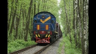 ТЭМ2 2021 в лесу с грузовым поездом на перегоне пост 2 км - Заводская Лыткаринского ППЖТ.