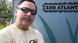 Aldo at the Zoo