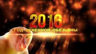 ФУТАЖИ 2016=Год Огненной Обезьяны 4К разрешение 4K UHD Ultra HD Free Footage