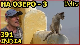 ИНДИЯ БЕЗ ТРУЩОБ. Едем на ОЗЕРО 3. Мраморная КОШКА