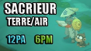 [DOFUS]Présentation de mon sacrieur lvl 120 Terrre/air 12Pa/6Pm